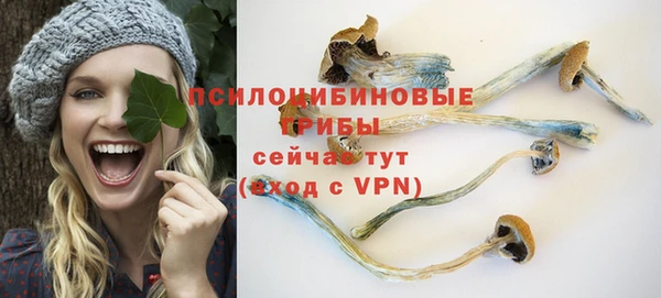 твердый Алексин