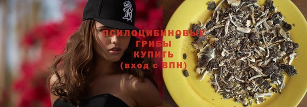 спайс Алексеевка