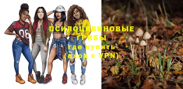 спайс Алексеевка