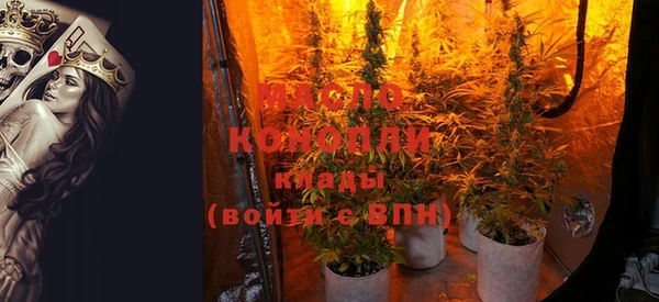 гидропоника Алзамай