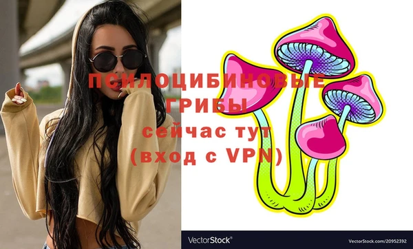 твердый Алексин
