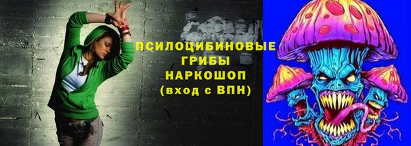 твердый Алексин