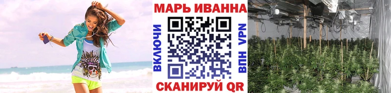 МАРИХУАНА Amnesia что такое кракен tor Фёдоровский